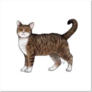 Cat - American Wirehair - White and Tabby Posters and Art